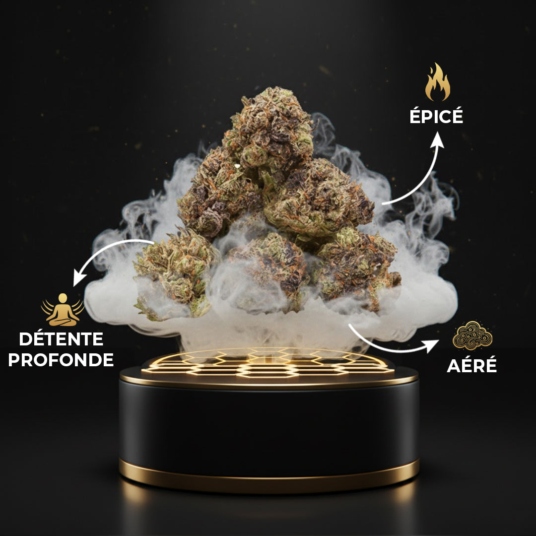 Pop Corn Gorilla Glue CBX