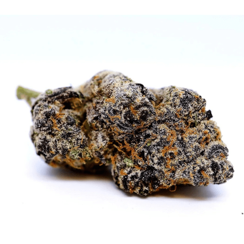 Platinum OG HSD