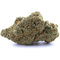 AMNESIA CBD+