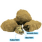 MoonRock CBX
