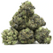 Pop Corn Gorilla Glue CBX