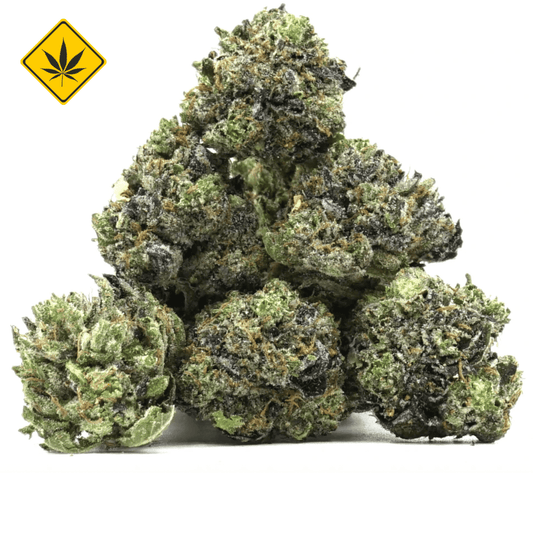 Pop Corn Gorilla Glue CBX