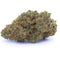 BUBBLE GUM CBD+
