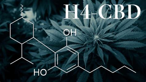 la molécule de cannabis H4-CBD