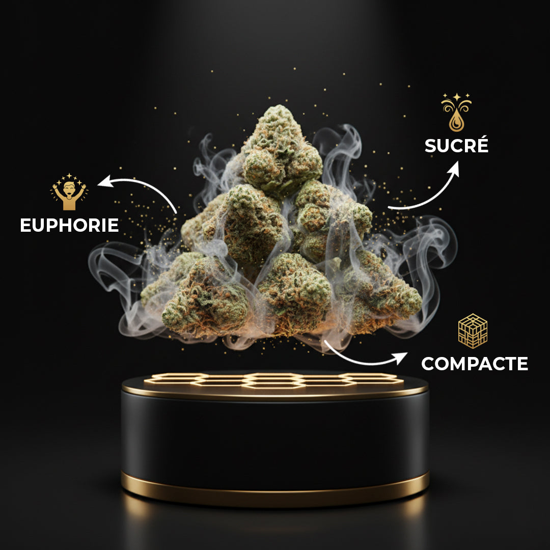 Strawberry Small Buds CBX