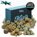 Pack Mixte - Édition Limitée Black Friday