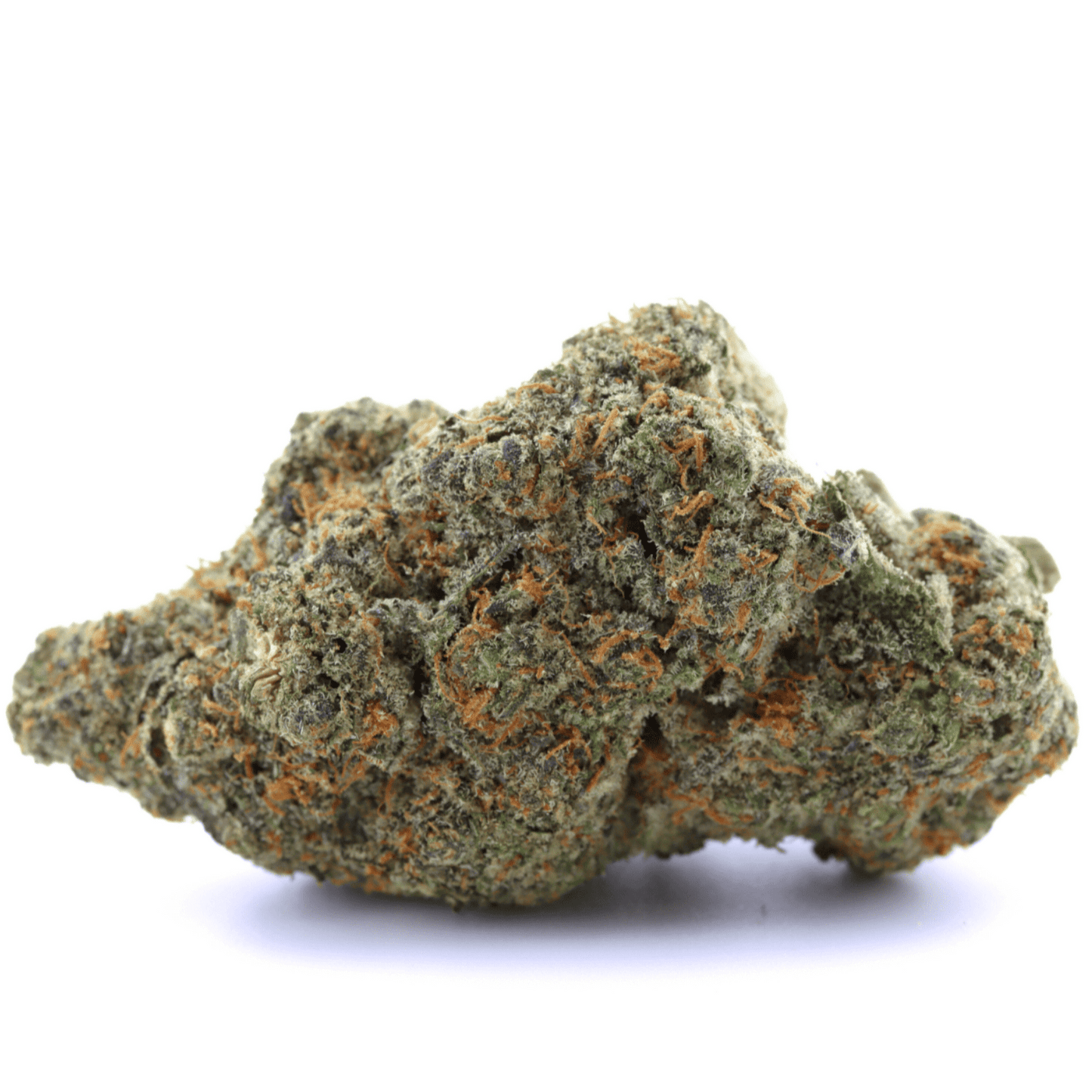 Amnesia CBX