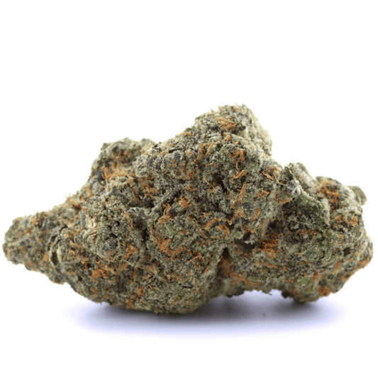 Amnesia CBX