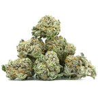 Biscotti Pop’s CBX