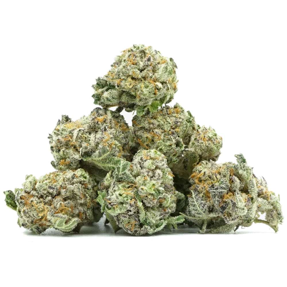 Biscotti Pop’s CBX