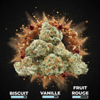 Biscotti Pop’s CBX