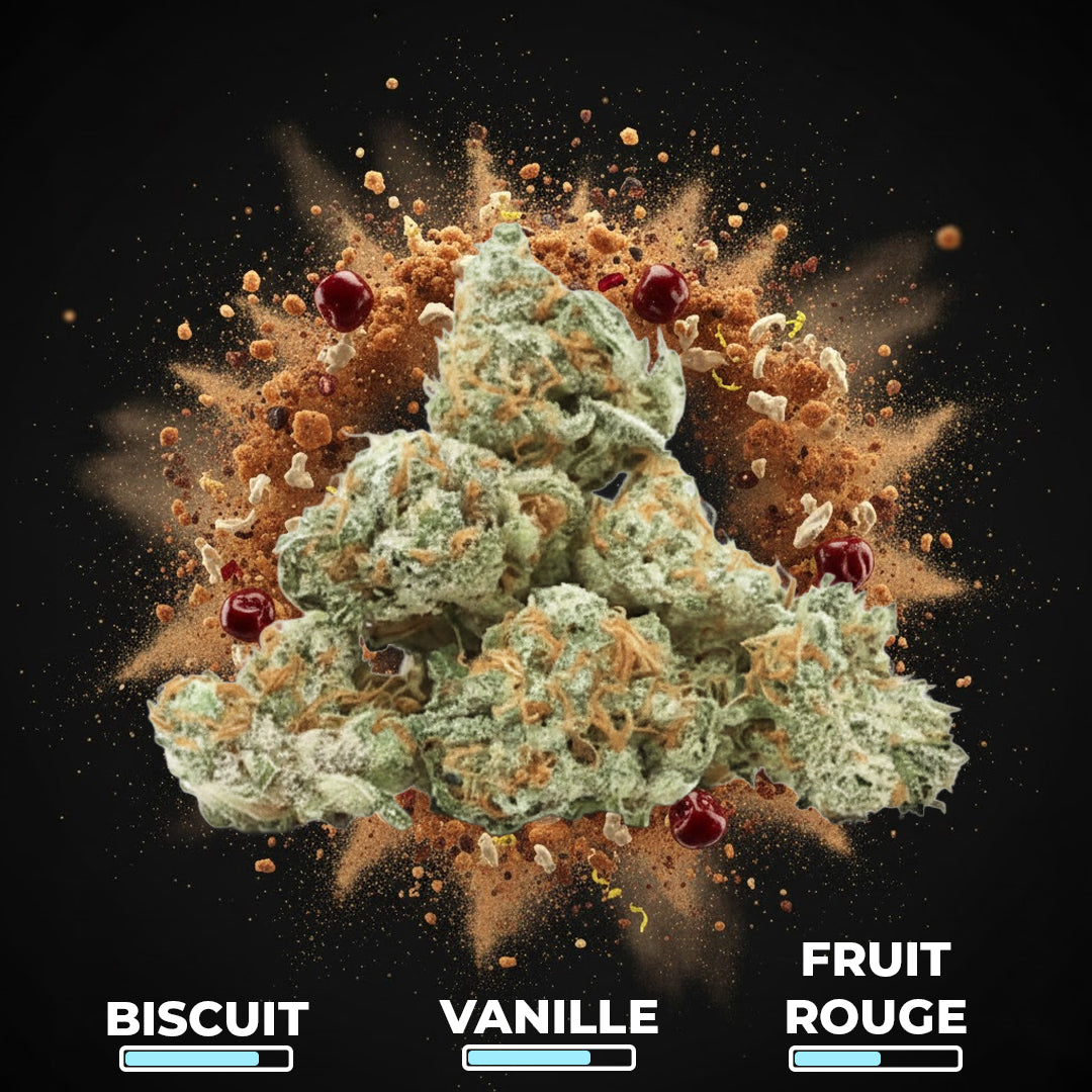 Biscotti Pop’s CBX