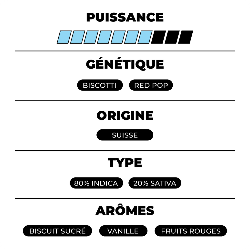 Biscotti Pop’s CBX