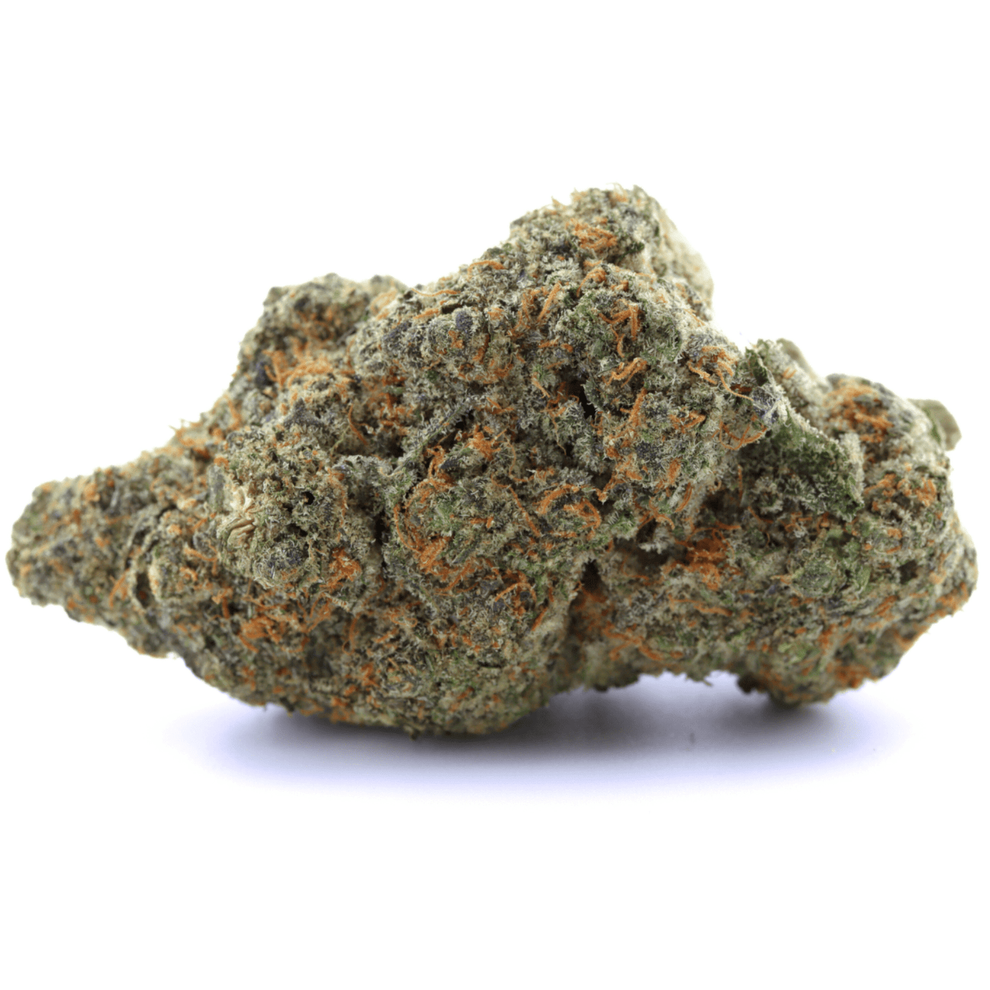 Amnesia THV+