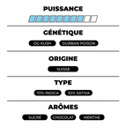 Girl Scoot Cookie THX