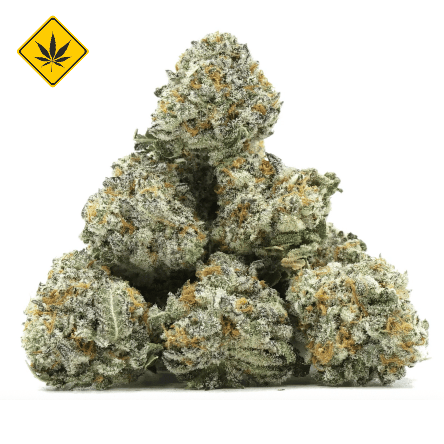 Strawberry Small Buds CBX