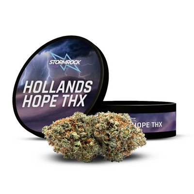 Hollands Hope THX - Calibox