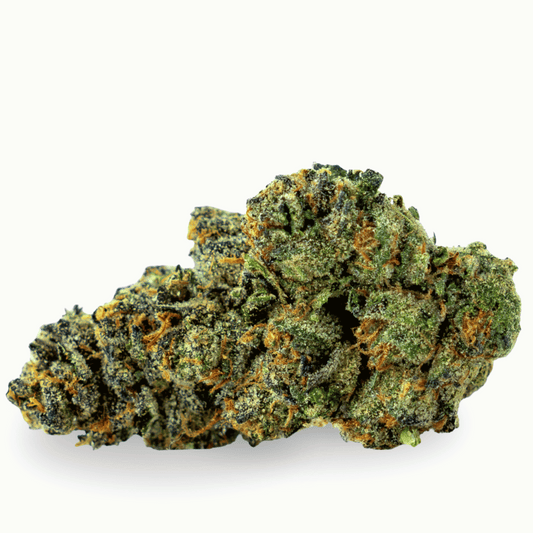 Orange Bud CBX