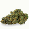 Orange Bud CBX