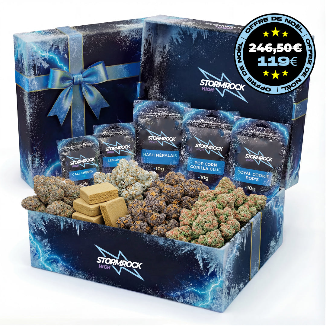 Pack Noël CBX - Édition Limitée