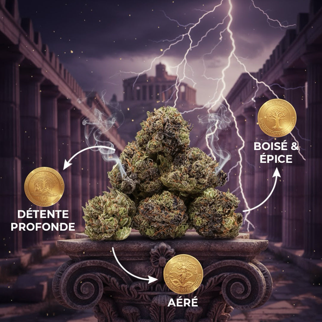 Pop Corn Gorilla Glue CBX