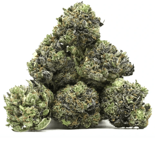 Pop Corn Gorilla Glue CBX