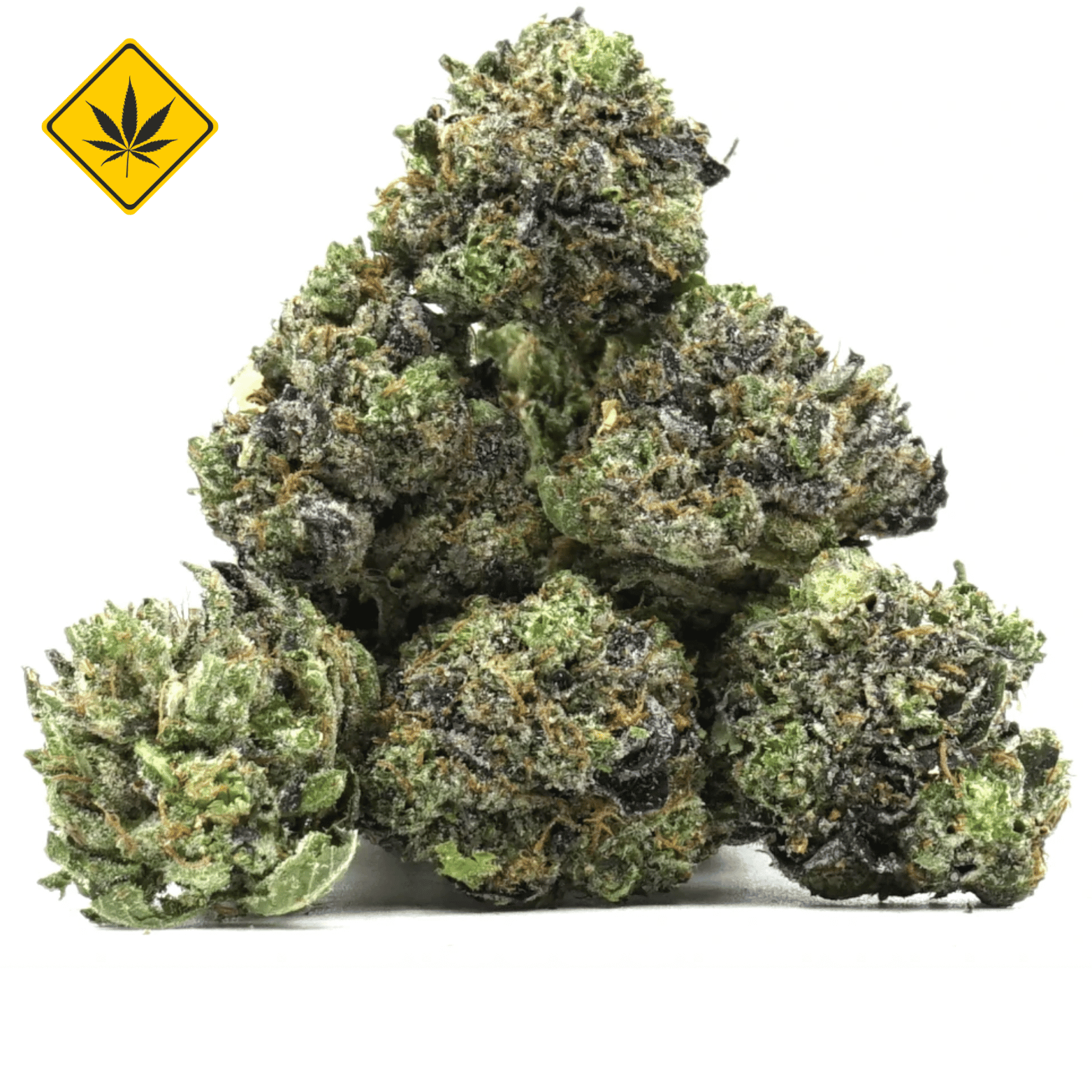 Pop Corn Gorilla Glue CBX