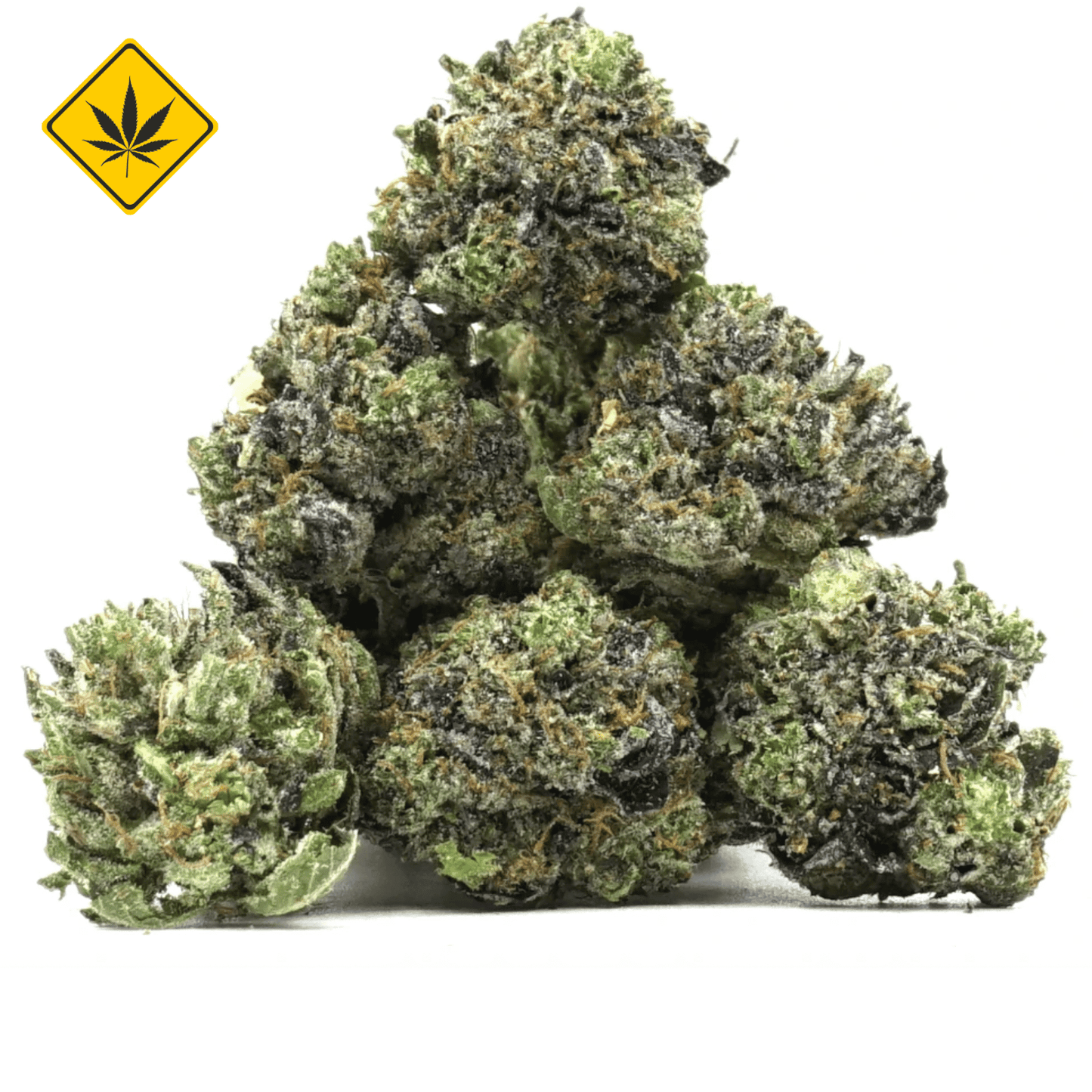 Pop Corn Gorilla Glue CBX