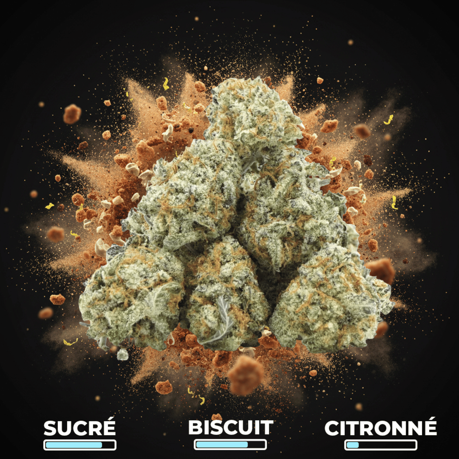 Royal Cookies Pop’s CBX