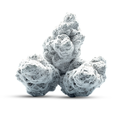 SNOW BALL BUD CBD+