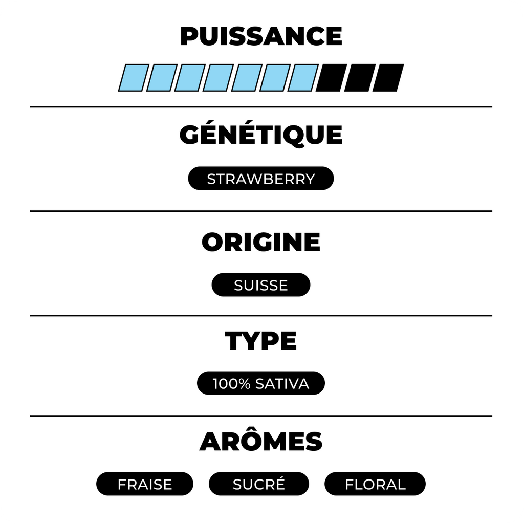 Strawberry Small Buds CBX