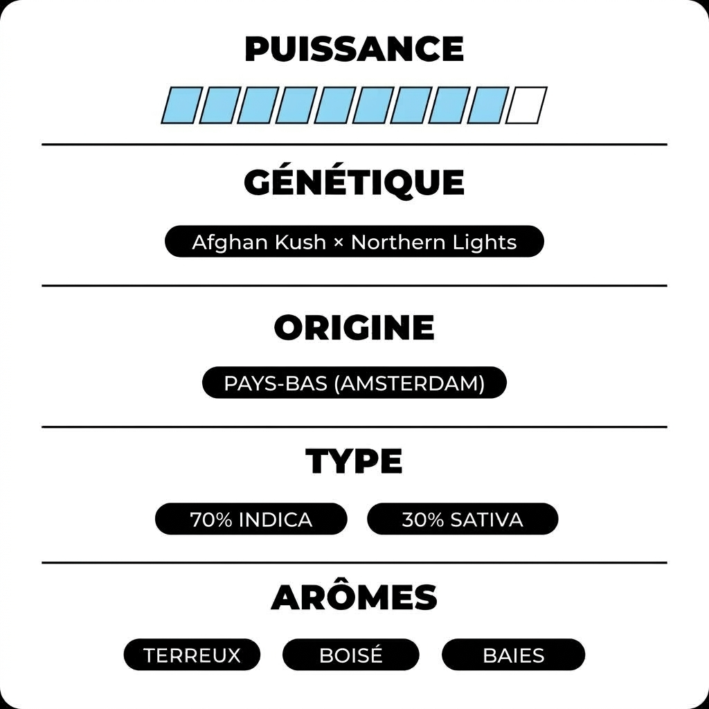 Amsterdam Kush THX - Calibox
