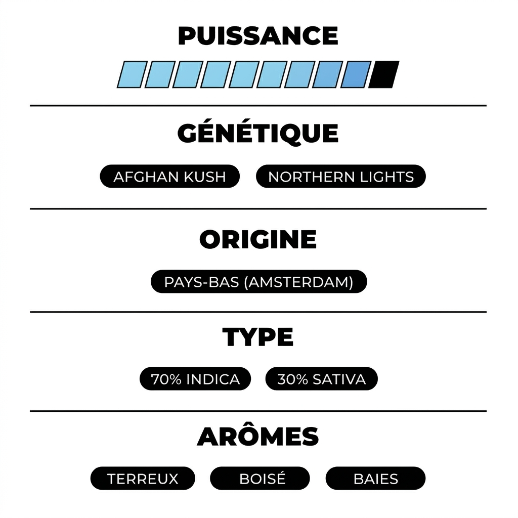Amsterdam Kush THX - Calibox
