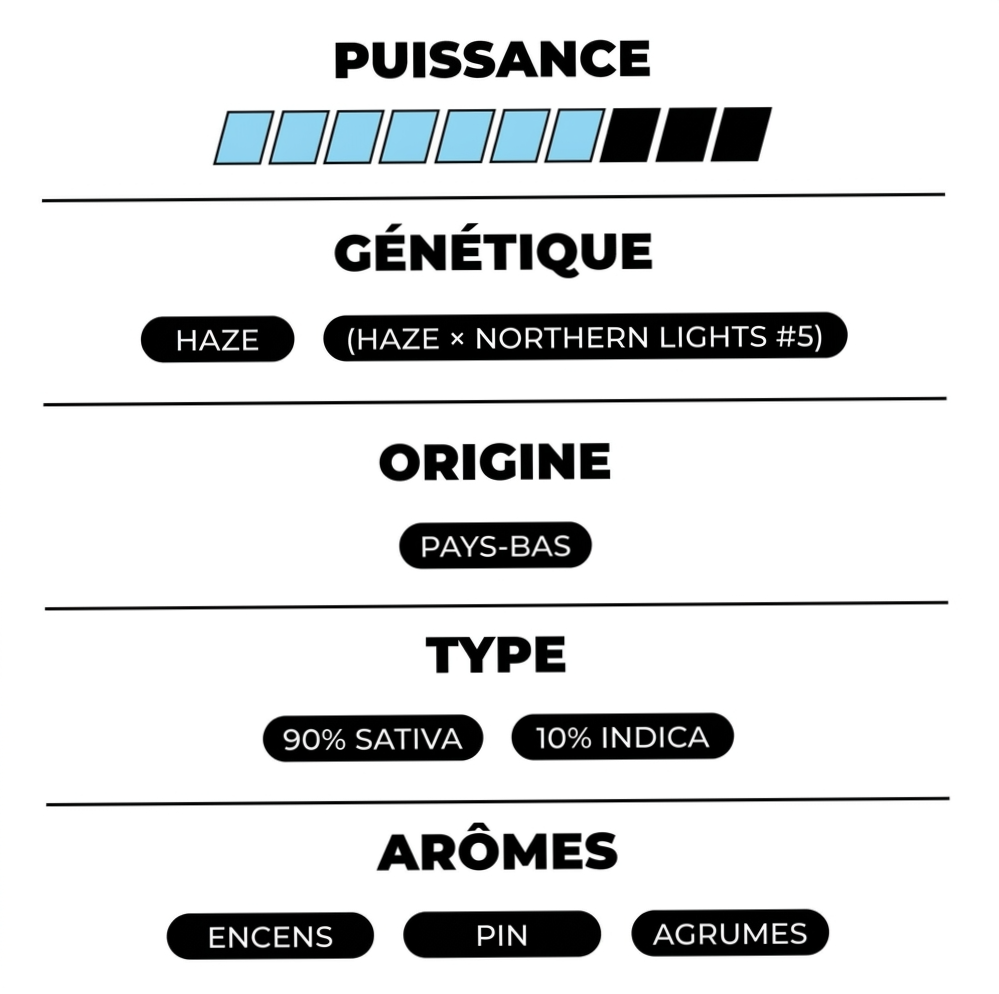Neville's Haze THX - Calibox